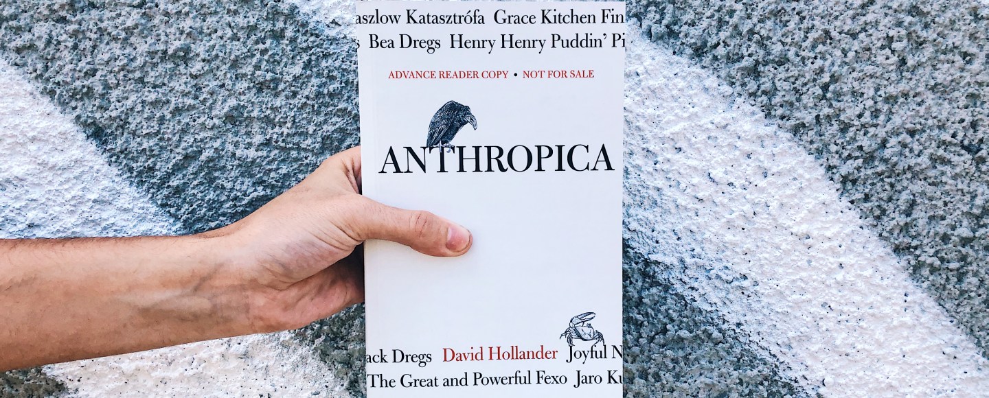 this is the paperback book of Anthropica by David Hollander for independent book review