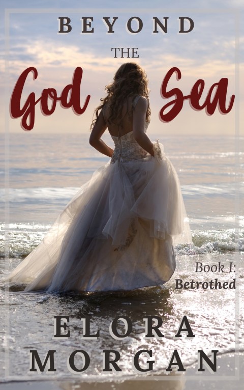 Beyond the God Sea by Elora Morgan for our end of the year book list