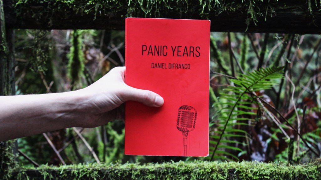 This is Independent Book Review's original image of the paperback of Daniel DiFranco's Panic Years.