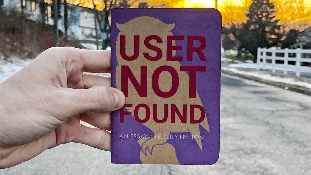 Independent Book Review's original picture of User Not Found by Felicity Fenton for Joe Walters book review