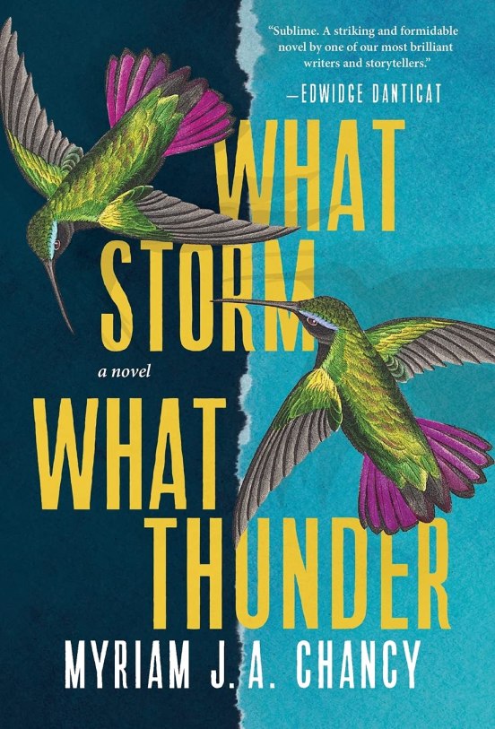 What Storm What Thunder by Myriam J.A. Chancy is included in our best books of the year list for 2021.
