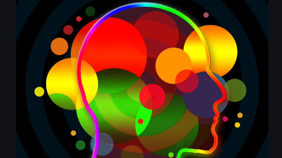 understand a person as a whole in order to write a strong character