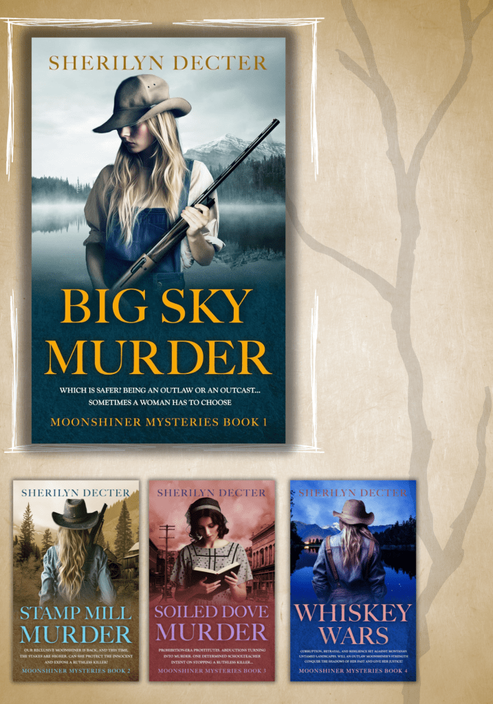 moonshiner mysteries series by sherilyn decter
